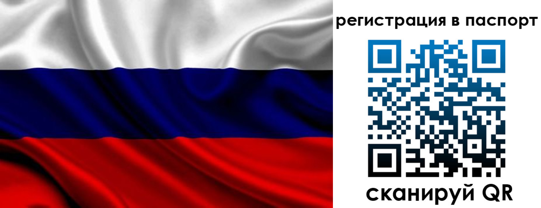 прописка для школы в Ртищево